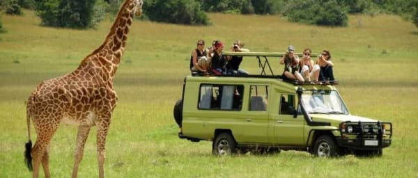10-Hour Arusha National Park Safari with Walking Adventure