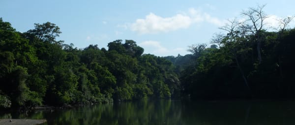 2-Day Jungle Expedition in Corcovado and Drake Bay with Night Tour