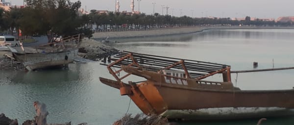 5-Hour Bahrain Heritage Tour with Fort, Tree of Life and Souk