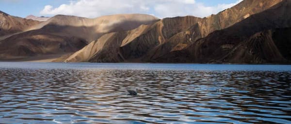 1-Day Pangong Lake Tour from Leh with Private Driver
