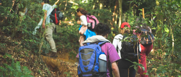 2-Day Amazon Jungle Camping Tour from Iquitos with Monkey Island
