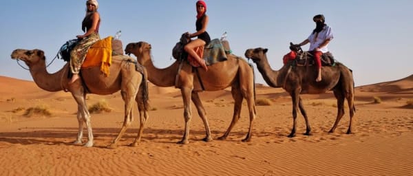 10-Day Morocco Desert Tour from Casablanca with Imperial Cities