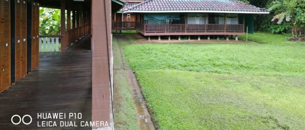 2-Day Corcovado National Park Tour with Sirena Station Stay
