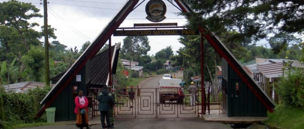 Full-Day Mount Kilimanjaro Hike from Moshi via Mandara Hut