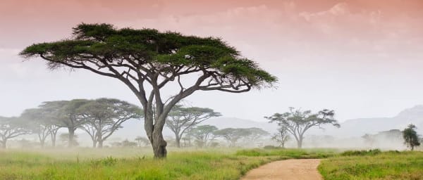 5-Day Northern Serengeti Wildlife Safari with Ngorongoro Crater
