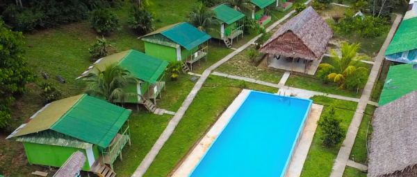 3-Day Amazon Jungle Tour from Iquitos with Monkey Island and Dolphins