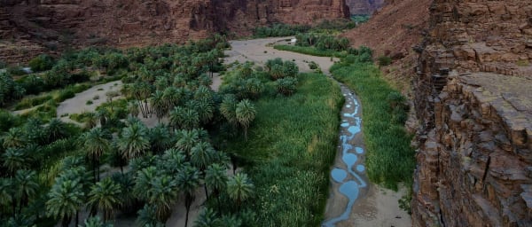 1-Day Wadi El-Disah Desert Tour with Safari and Sunset Views