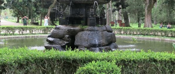6-Hour Rio Botanical Garden and Tijuca Park Tour with Taunay Falls