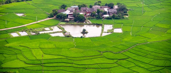 Full-Day Ninh Bình and Tam Cốc Tour with Bái Đính Temple