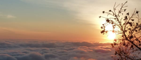 3-Day Mount Meru Trek in Tanzania with Sunrise Summit Views
