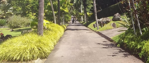 7-Hour Mahe Island and Victoria Tour with Mission Lodge Views