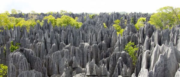 10-Day Madagascar Expedition with Tsiribihina Cruise and Tsingy