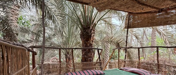 8-Hour Egyptian Countryside Experience from Cairo with Farm Cooking