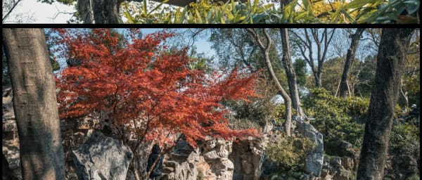 8-Hour Private Suzhou Day Trip from Shanghai with Canal Cruise
