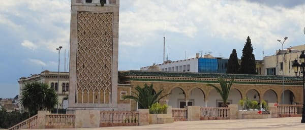 Full-Day Tunis City Tour with Carthage, Bardo Museum and Medina