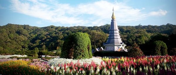 8-Hour Doi Ang Khang Trekking Tour with Twin Royal Pagoda