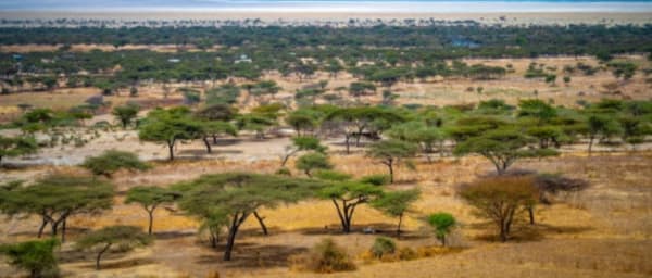 9-Day Ethiopia Adventure through Addis Ababa, Bale Mountains and Awash