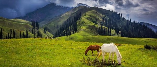 4-Day Kaghan Valley Tour with Shogran, Saif-ul-Maluk and Babusar