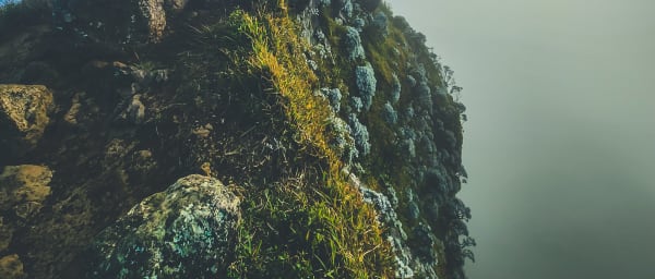 4-Hour Le Pouce Mountain Trek in Moka with Panoramic Summit Views