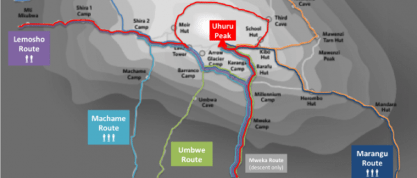 8-Day Mount Kilimanjaro Northern Circuit Trek to Uhuru Peak