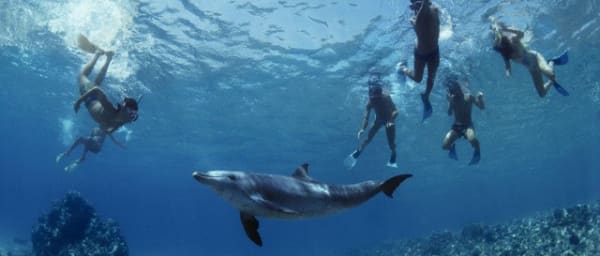 8-Hour Snorkelling Trip to Tiran Island from Sharm El Sheikh