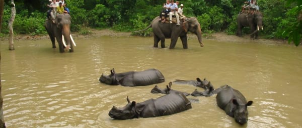 3 Day Chitwan National Park Safari Tour From Kathmandu