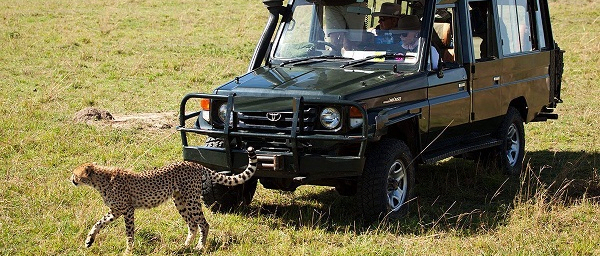 3-Day Masai Mara Safari and Nairobi Tour with Big Five Game Drives