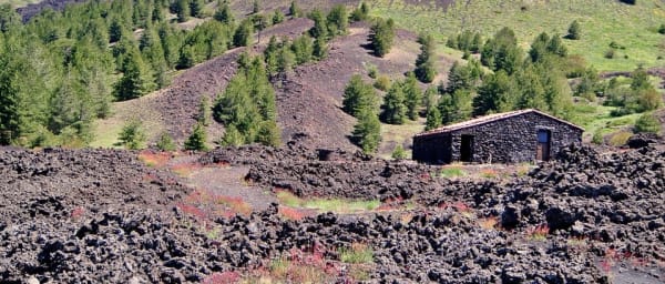 6-Hour Mount Etna Morning Tour from Catania with Lava Tube Visit