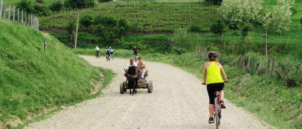 1-Day Cycling Tour in Dealu Mare with Ceptura Wine Tasting