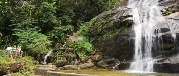4-Hour Rio de Janeiro Forest and Park Tour with Tijuca and Botanical Garden