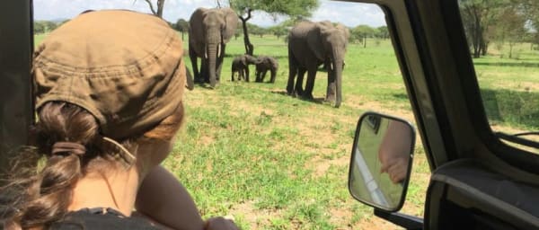 3-Day Northern Tanzania Wildlife Safari with Ngorongoro Crater