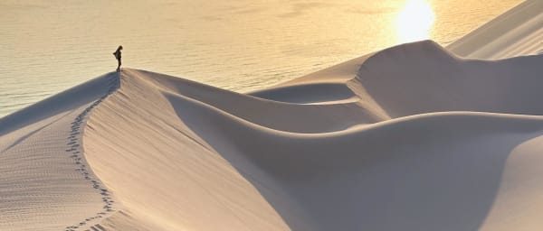 8-Day Socotra Adventure with Dragon's Blood Trees and Wild Camping