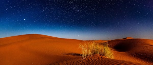 4-Hour Doha Desert Safari with Dune Bashing and Inland Sea