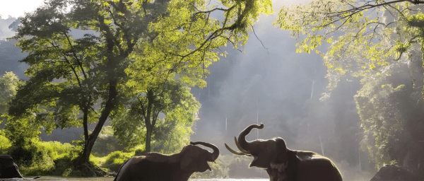 10-Hour Jeep Safari in Thekkady and Vagamon Hills with Eagle Rock