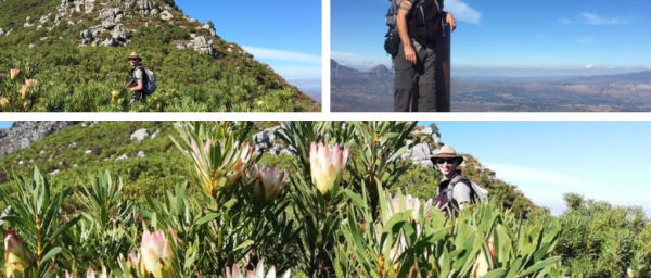 8-Hour Helderberg West Peak Hike in Cape Town with Protea Fields