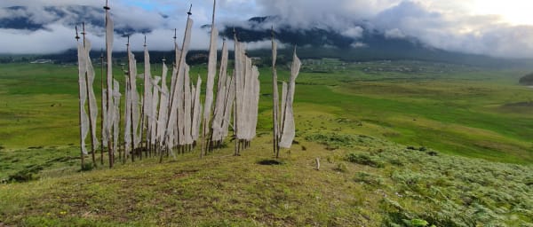 7-Day Bhutan Cultural and Wellness Tour with Bumdra Trek