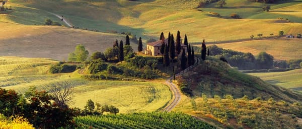 4-Hour Val d'Orcia Tour with Pienza and Bagno Vignoni
