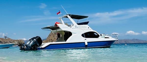 1-Day Komodo Island Tour with Padar Hike and Komodo Dragons