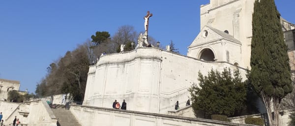 2-Hour Avignon Walking Tour with UNESCO Heritage and Les Halles