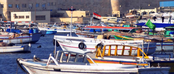 Full-Day El Alamein WWII Tour with Battlefields and Memorials