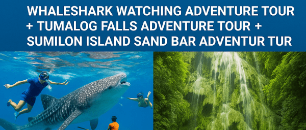 12-Hour Cebu Whale Shark and Moalboal Snorkelling Tour with Tumalog Falls
