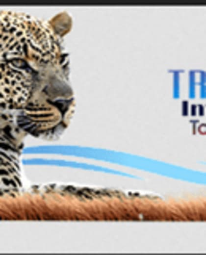 TRANSLEN INVESTMENT TOURS & SAFARI
