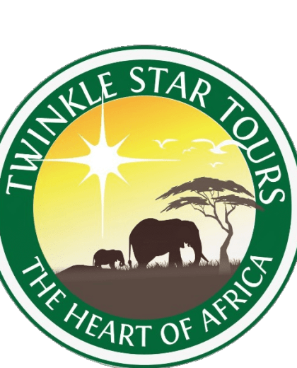 Twinkle Star Tours and Safaris