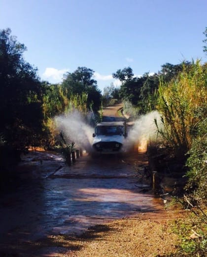 Alsafari Tours
