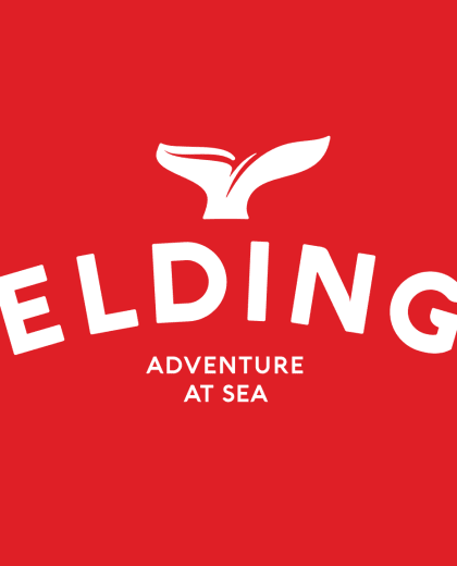 Elding Adventure at Sea