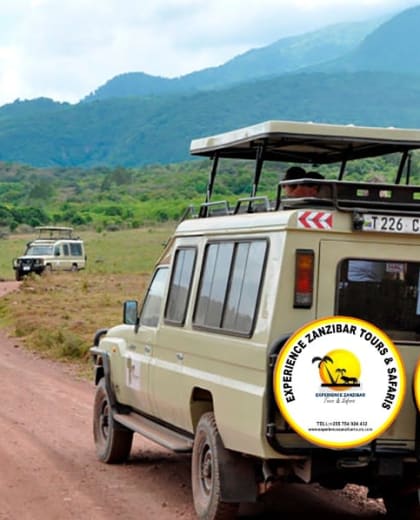 Experience Zanzibar Tours & Safaris