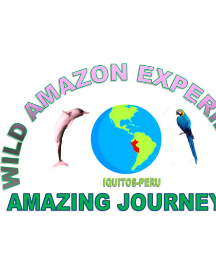 Wild amazon experience