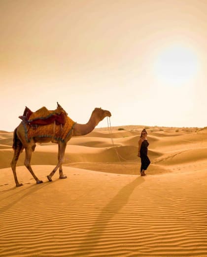 Golden Tours And Events