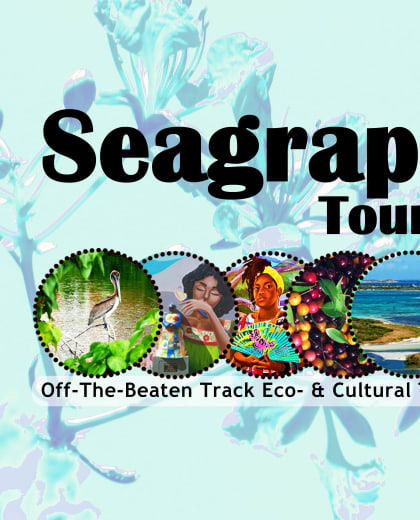 Seagrape Tours