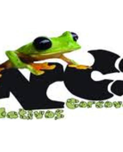 Nativos Corcovado Tours